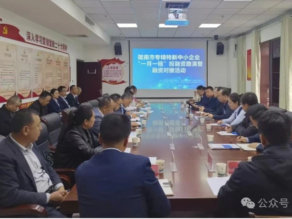 企业动态丨金控陇南乐鱼手机平台公司积极参加陇南市投融资路演对接活动 全力支持科创企业融资发展