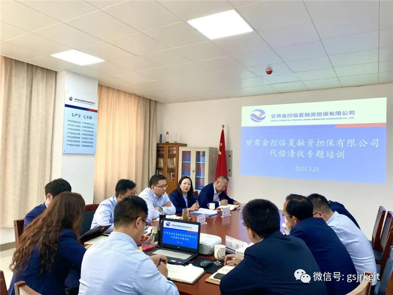 甘肃金控临夏乐鱼手机平台公司开展代偿清收专题培训