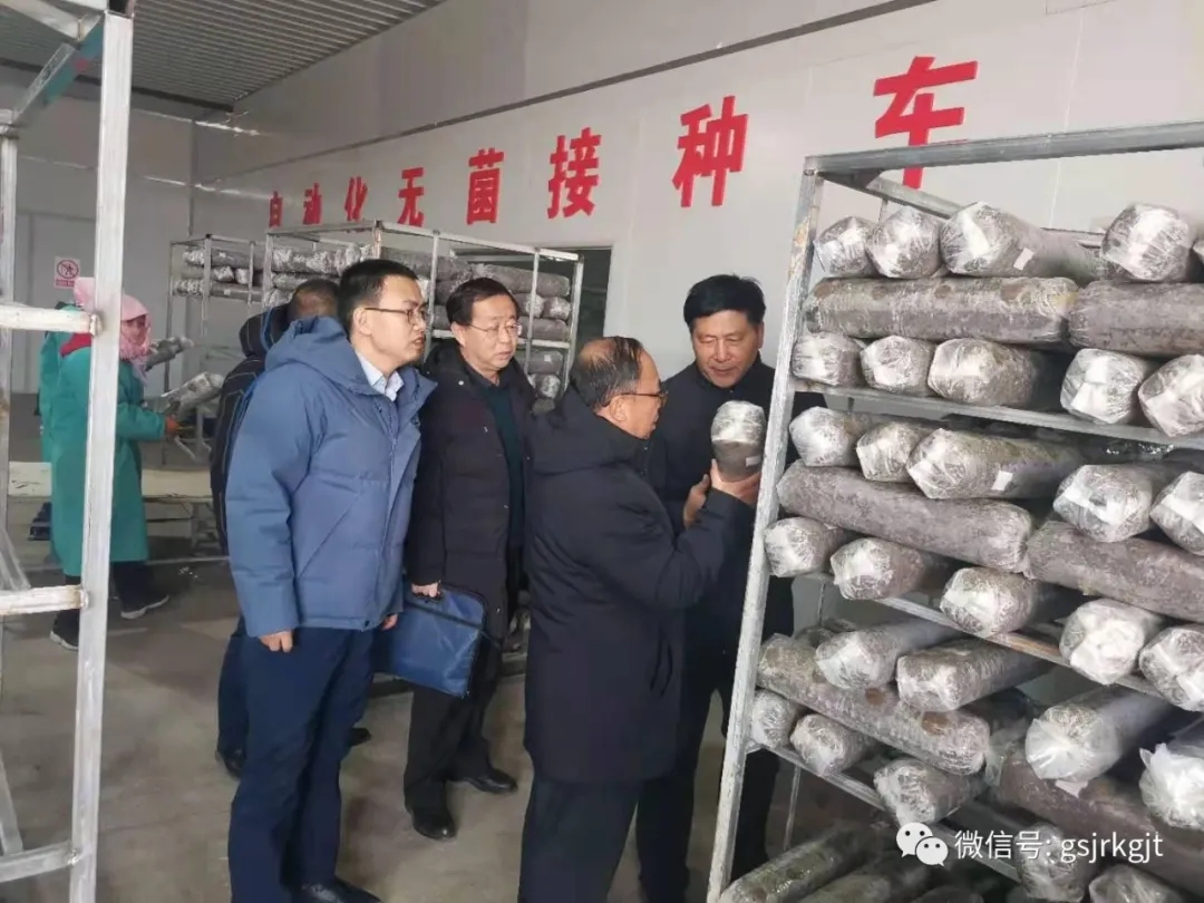 防风险 夯基础 促发展——金控武威乐鱼手机平台开展保后管理专项检查