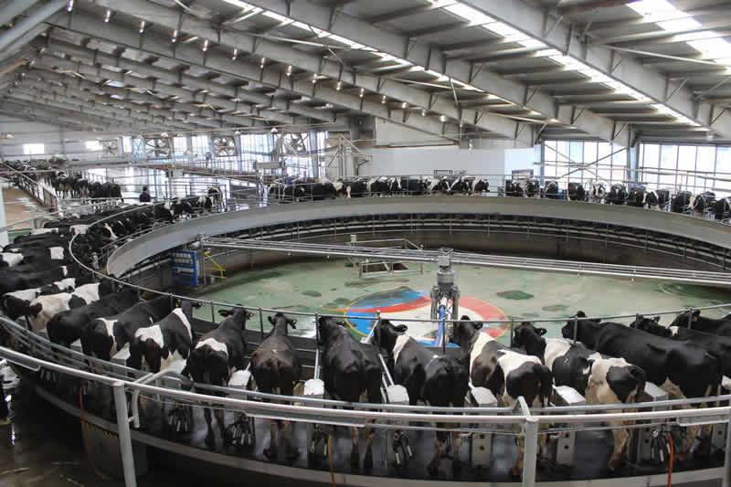 甘肃金控乐鱼手机平台集团首笔供应链担产品顺利落地